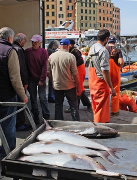 09.Fischfang-Auslieferung